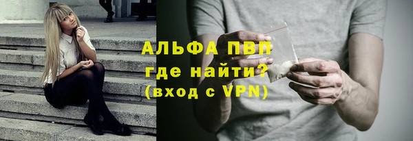 молекула духа Арсеньев
