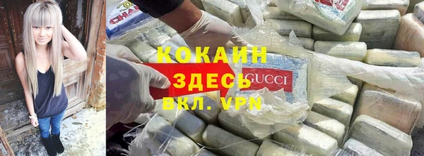 молекула духа Арсеньев
