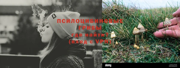 тгк Аркадак