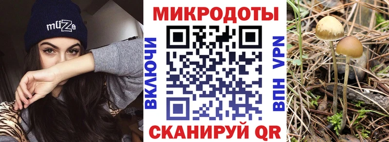 что такое   KRAKEN зеркало  Галлюциногенные грибы Psilocybe  shop наркотические препараты  Урус-Мартан 